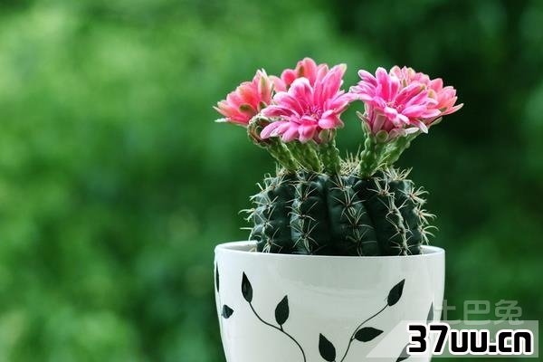 怎样防电脑辐射