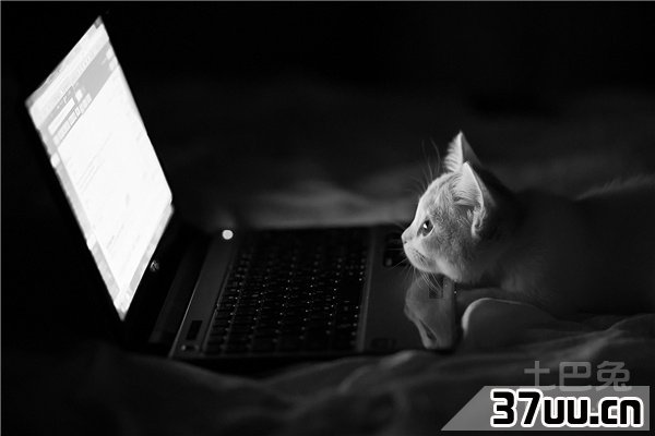 电脑ip地址设置