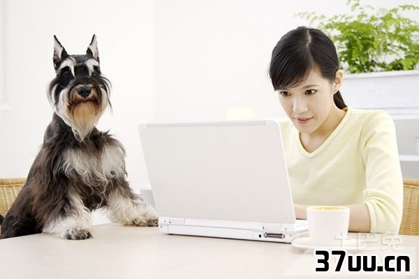 如何查看系统启动项