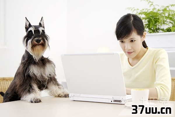 win7家庭普通版升级
