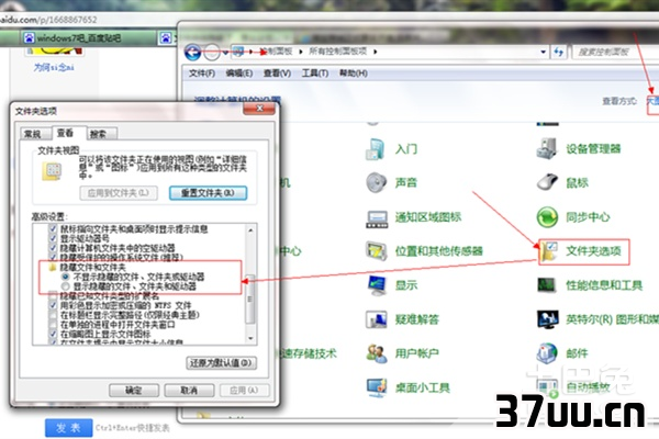 不能显示隐藏文件夹