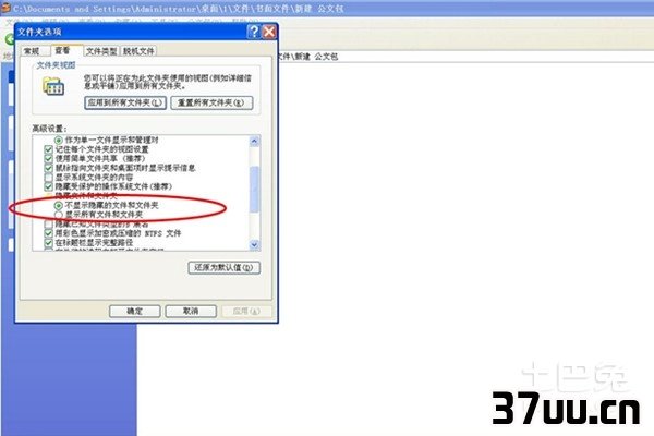 不能显示隐藏文件夹