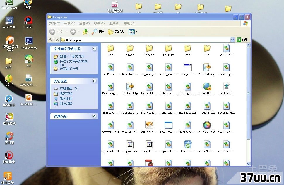 windows临时文件