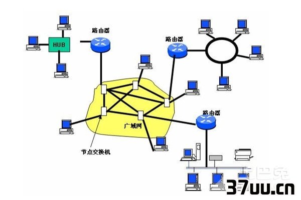广域网的特点