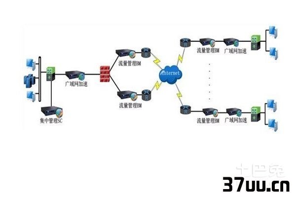 广域网的特点