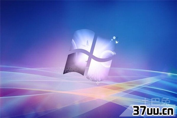 windows盗版