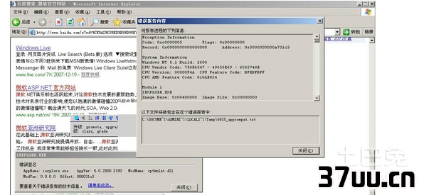 ie出错