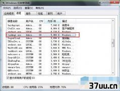 taskmgr.exeʲô,򲻿