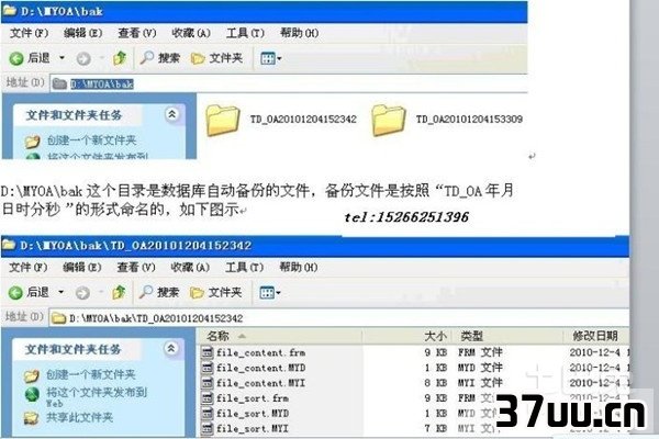 文件删除了怎么恢复