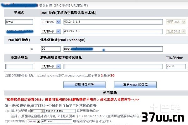 域名dns
