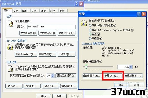 ie临时文件