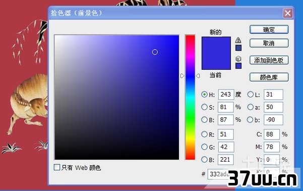 窗口颜色