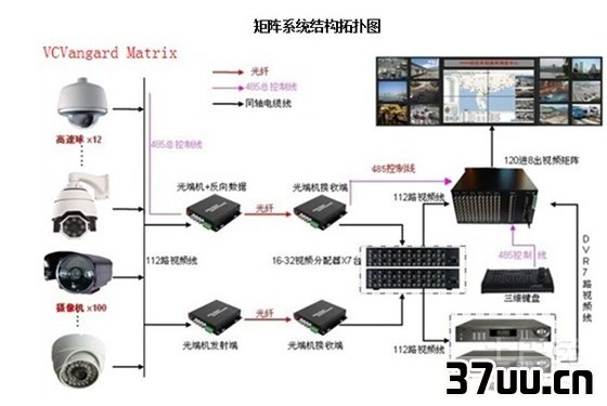 网络分配器设置