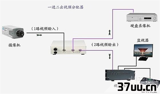 网络分配器设置