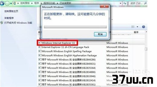 怎么卸载ie