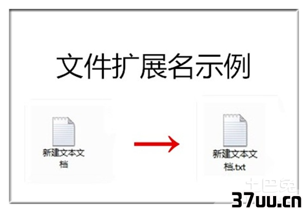 扩展名怎么改