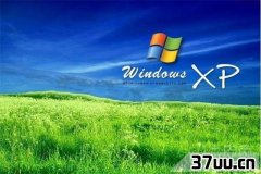 xp,xpͣڿ