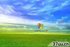 xpͥƷԿ,windows xpܳ