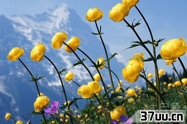 电脑截图快捷键