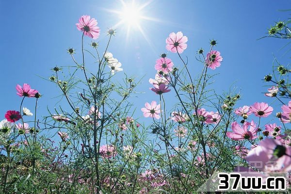 电脑截图快捷键