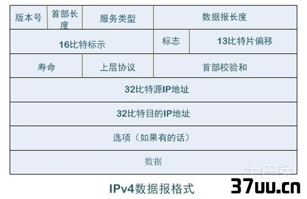 数据包究竟是什么？数据包的含义位置及运用方法